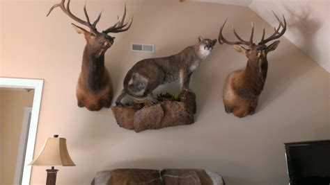 Trophy Room Pictures Taxidermy Decor Room Pictures Hunting Decor