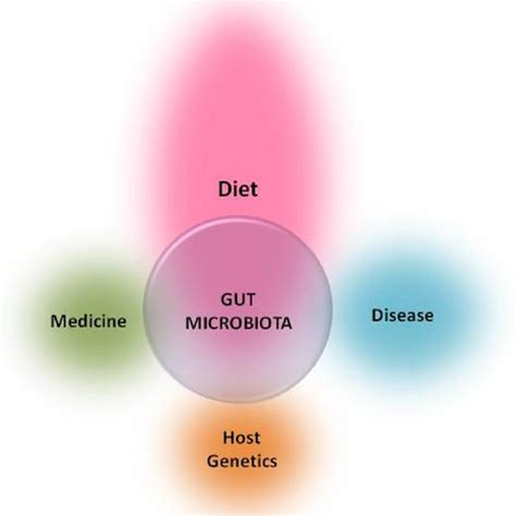 General Factors Affecting Gut Microbiota Download Scientific Diagram