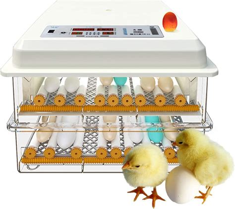 automatic egg incubator auto turning egg and adjust roller poultry hatcher brooder for chicken