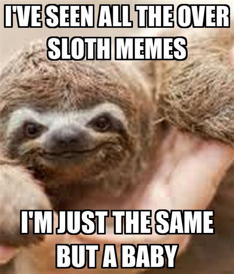 50 Hilarious Sloth Memes To Brighten Your Day