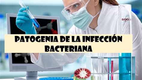 Microbiología Patogenia De La Infección Bacteriana Youtube