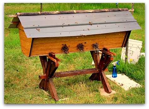 I have three kenyan tbhs and all have the entrance on one end. Beehive Sequel: Deluxe Top Bar Hive for My Bees!