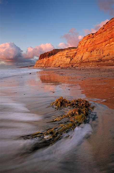 East of torrey pines state beach and roughly a 2 minute drive or uber ride. Torrey Pines beach, San Diego, CA | travel | Pinterest
