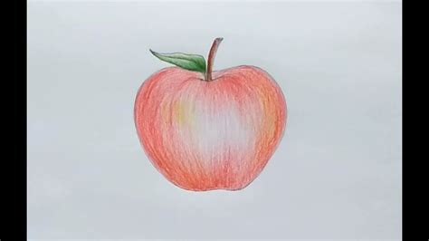 Art46 How To Draw Apple Easy And Simple Apple Drawing How To