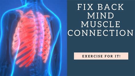 However there is a theory to explain the in order to prevent muscle cramps especially while performing a strenuous upper body workout, focus. Have You Got Muscles Outside Rib Cage : Upper Back and ...