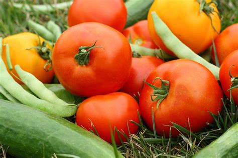 Southern Vegetable Gardening - Learn About Heat Loving Vegetables