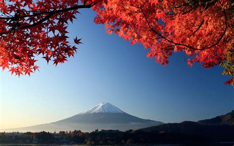Mount Fuji Autumn Maple Japan Wallpaper Nature And Landscape
