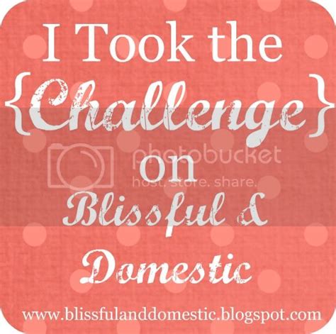 Blissful And Domestic Creating A Beautiful Life On Less {my Homemade Year}