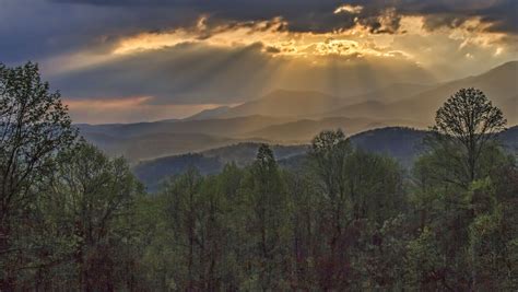 National Park Week: See why Great Smoky Mountains is the most visited park
