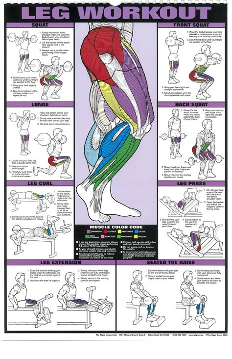 Functional Trainer Workout Professional Fitness Gym Wall Charts Poster Set Sports Vacances