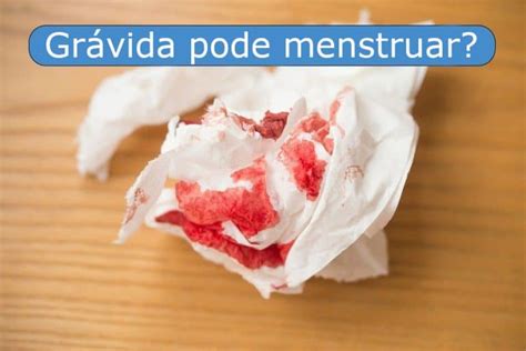 ciclo menstrual fetalmed medicina fetal em curitiba