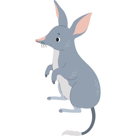 Cute Bilby Animal 35500311 Png