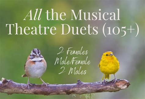 105 Musical Theatre Duets 2 Females Male Female And 2 Males Sing