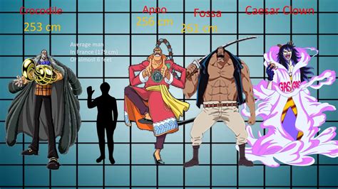One Piece Characters Height Comparison مقارنة احجام شخصيات ون بيس