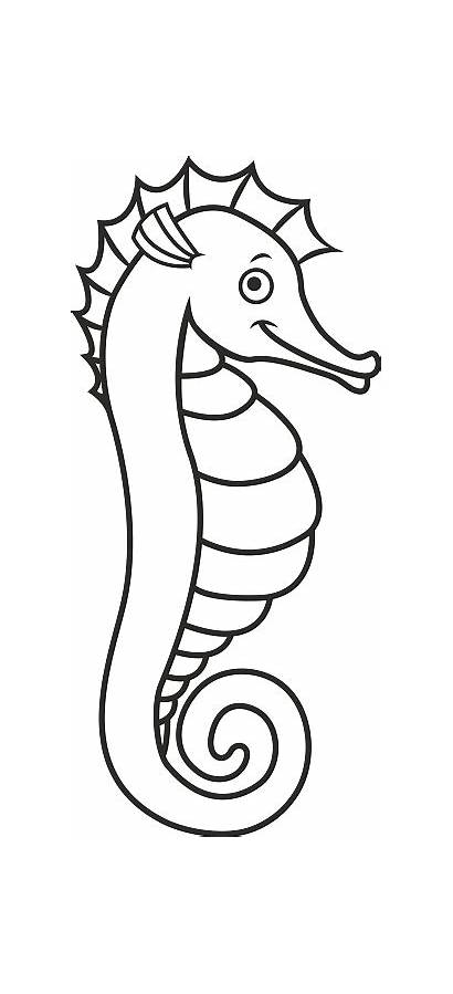 Cartoon Seahorse Clipart Drawing Hippocampus Vector Marine