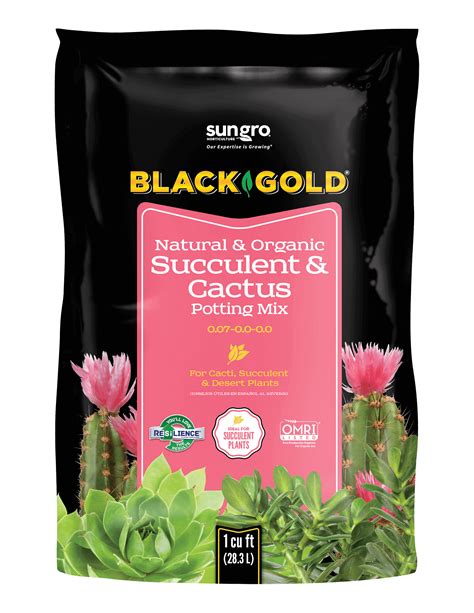 Black Gold Natural And Organic Succulent And Cactus Potting Mix 007 00