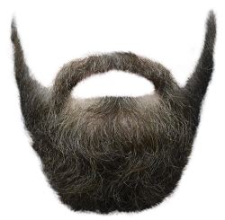 Maybe you would like to learn more about one of these? Mustache PNG Images - PngPix