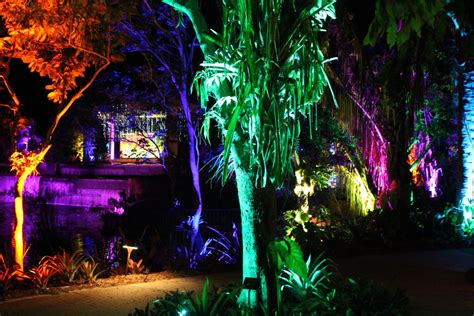 Night Lights In The Garden Naples Botanical Garden