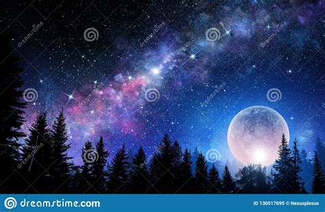Full Moon In Night Starry Sky Stock Illustration