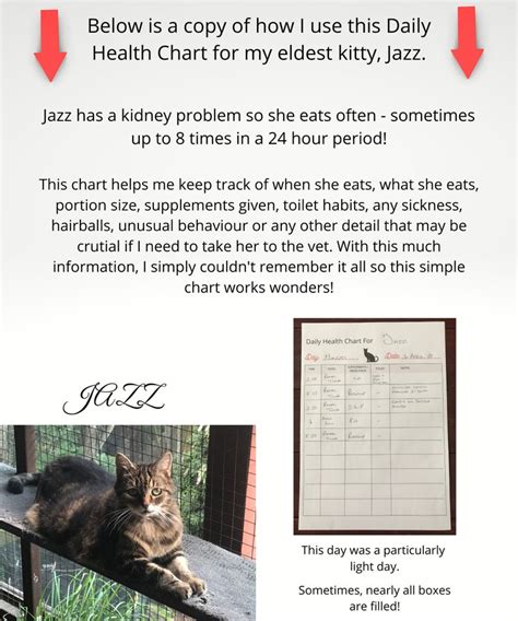 Printable Daily Cat Health Tracker Pet Medical Journal Etsy