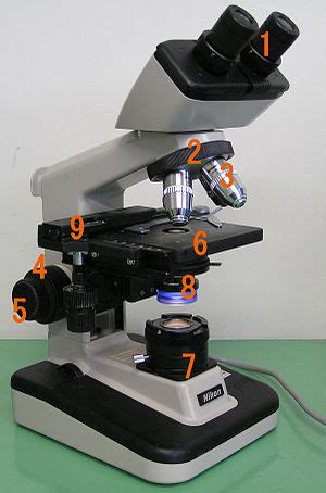 'Microscopes and Their Uses in Biology' - WikiEducator