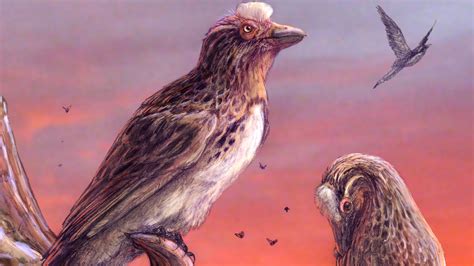 Bird From The Age Of Dinosaurs Deepens Extinction Mystery Bt