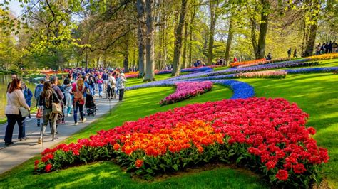 About Keukenhof Gardens Amsterdam Tulip Festival Events And More