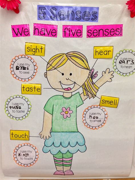 Kindergarten Smiles Five Senses Five Senses Kindergarten Kindergarten