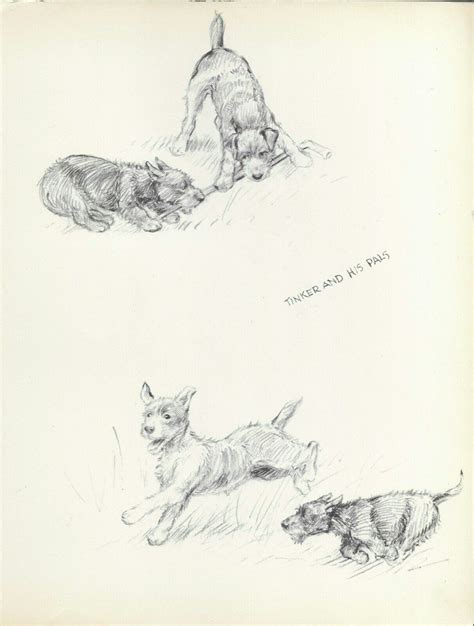 Scottish Fox Terrier Tinker Matted Vintage Dog Print 1948 Kf