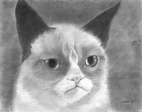 Tard The Grumpy Cat Drawing By Glenn Daniels