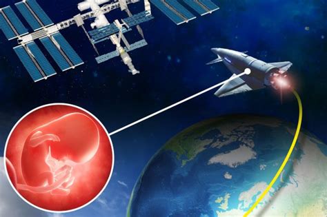 Inside The Controversial Plan To Grow Babies In Space For Off Planet