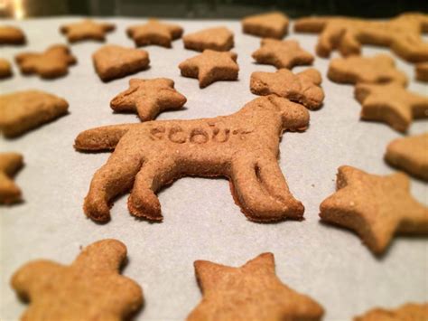Simple Homemade Peanut Butter Dog Treats Making These For