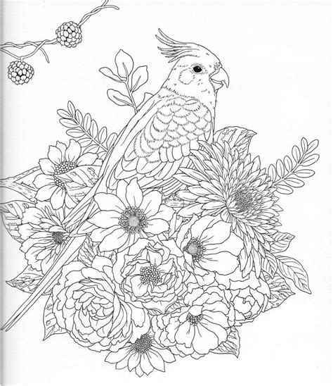 Новости Free Adult Coloring Printable Adult Coloring Pages Adult