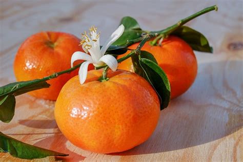 8 Mandarin Varieties The Most Common Mandarins Chowtray