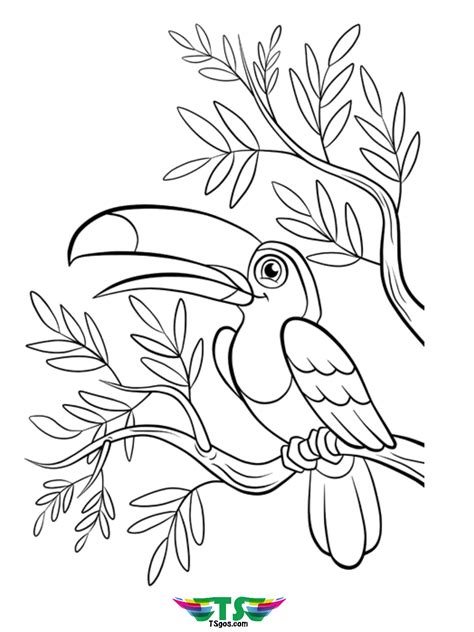 Beautiful Bird Coloring Page Free Download