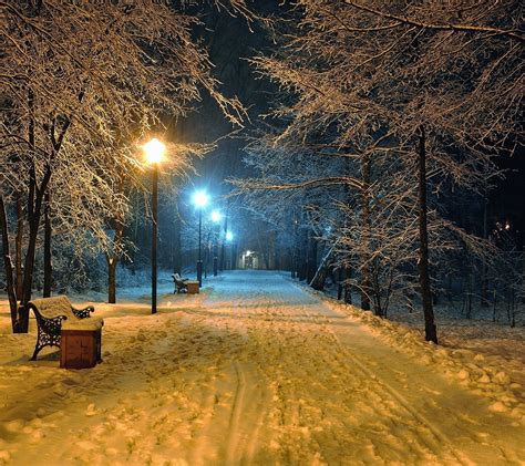 Winter Snow Night Street Light Path Trees Bench Wallpapers Hd