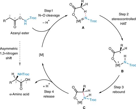 Of Proposed Simplified Mechanism The Catalytic Cycle Of The Asymmetric