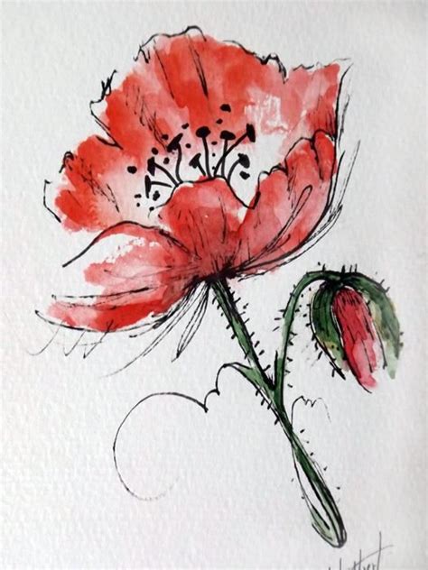 Original Artwork Of A Red Poppy Rendered In Pen Ink And Watercolor It
