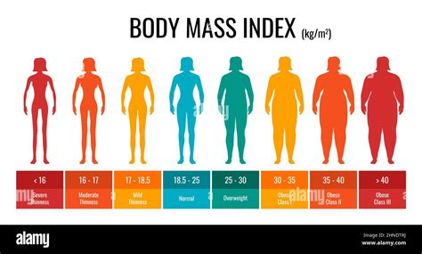 BMI Classification Chart Measurement Woman Set Female Body Mass Index