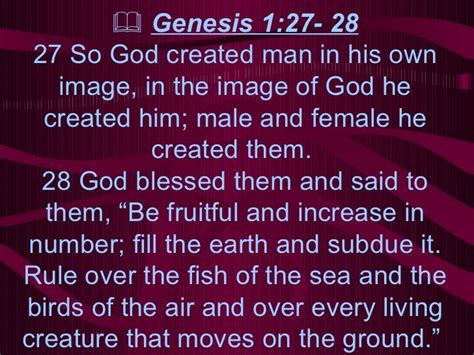 Genesis 127 28 Sarah Young Devotional Genesis 1 27 Scripture