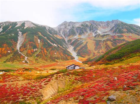25 Things To Do In And Around The Tateyama Kurobe Alpine Route Snow