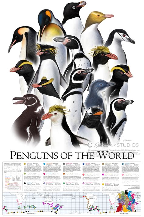 26 Penguin Facts That Will Make You Waddle With Joy 2022 Penguin