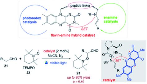 Synthetic Applications Of Flavin Photocatalysis A Review Rsc
