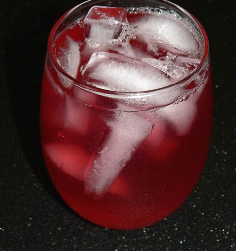 Instant Pot Cranberry Apple Infused Water Recipe