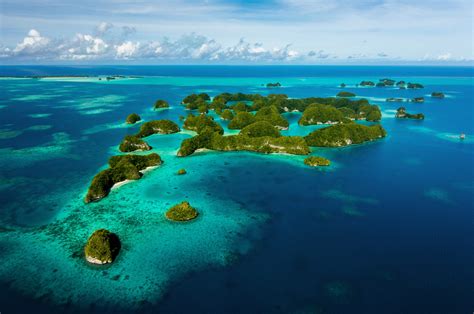 Palau Now Is The Time To Dive These 5 Dive Sites