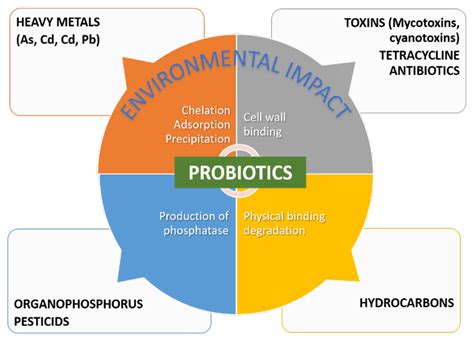 Applications And Action Mechanisms Of Probiotic Based Multi Components