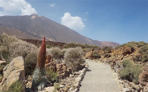 Teide Teneriffa Tipps Zum Nationalpark Und Vulkan Pico Del Teide