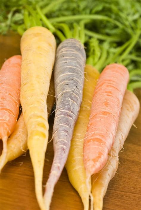 Colorful Carrots Stock Photo Image Of Organic Wood 12353054