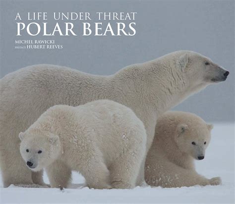 Polar Bears A Life Under Threat Obrazové Knihy Obrazové Publikace