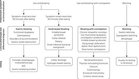 Gas Bloating And Belching Approach To Evaluation And Management Aafp